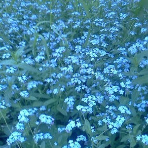 Meet your Posher, Debra